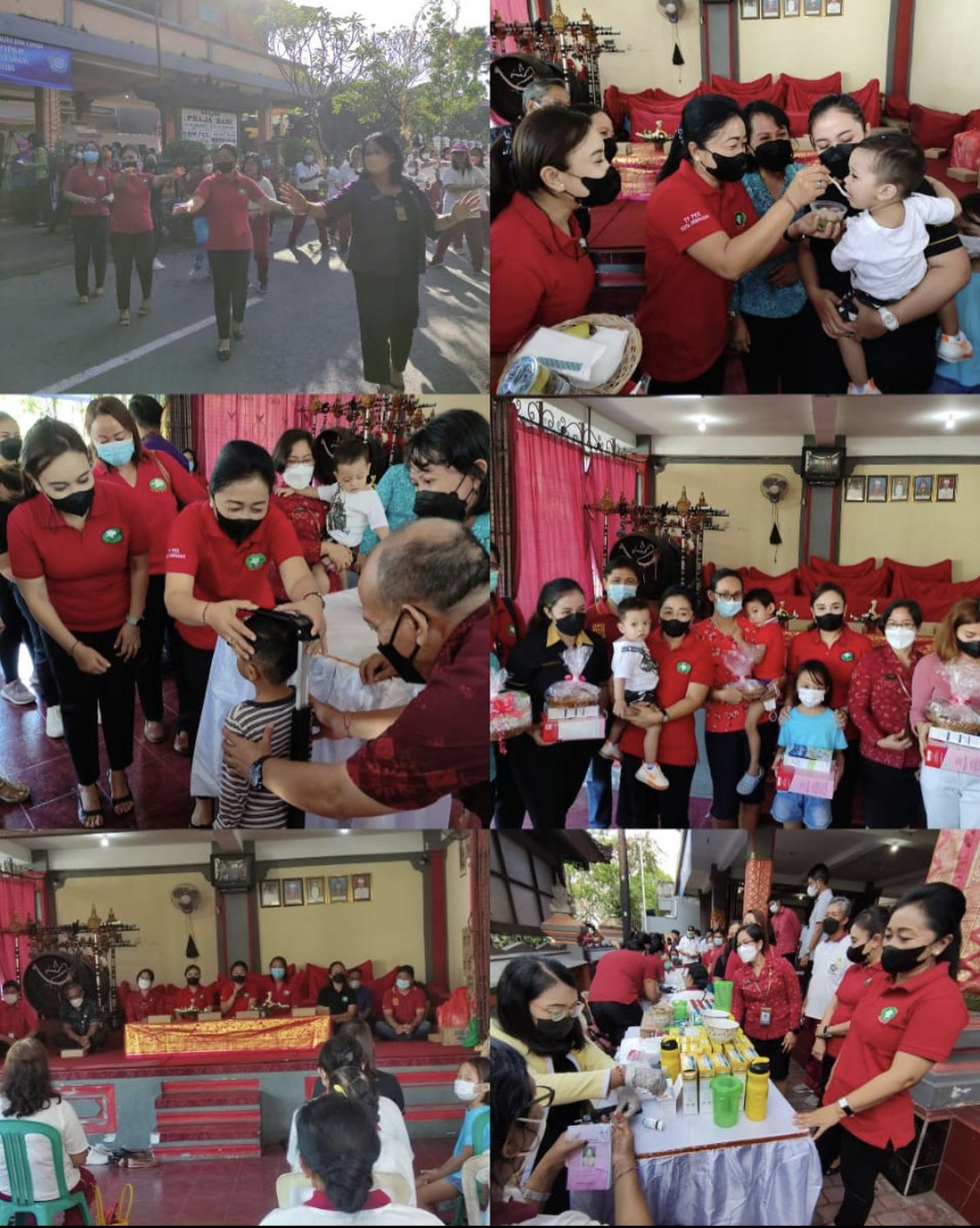 Posyandu Paripurna Ibu Hamil, Balita dan Lansia