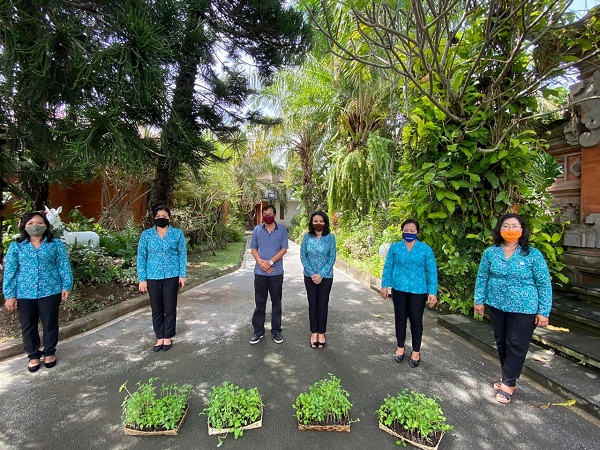 Sinergi PKK Denpasar dengan Dinas Pertanian, Bagikan Bibit Hortikultura Gratis di Empat Kecamatan