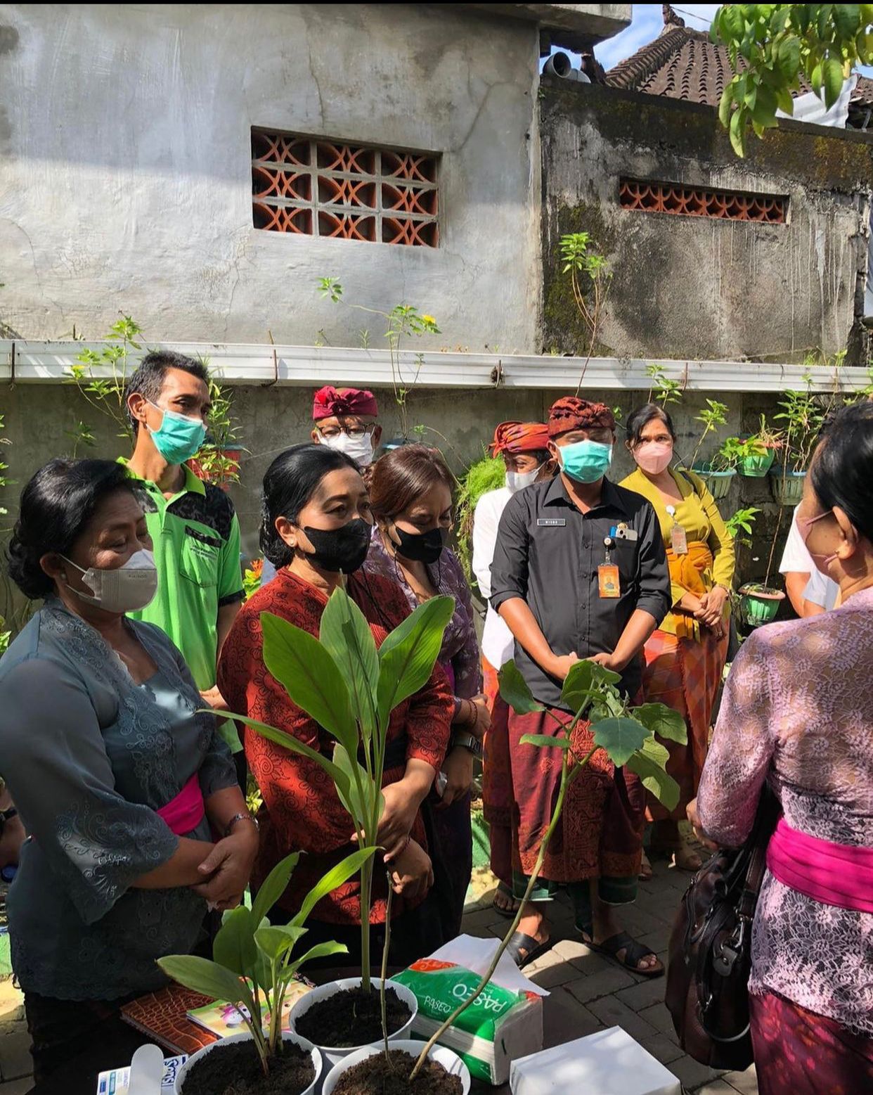 Penyerahan bibit tanaman kepada warga di Banjar Pembungan Kel. Sesetan
